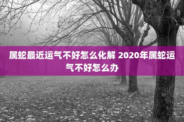 属蛇最近运气不好怎么化解 2020年属蛇运气不好怎么办