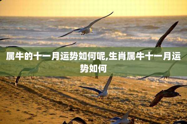 属牛的十一月运势如何呢,生肖属牛十一月运势如何