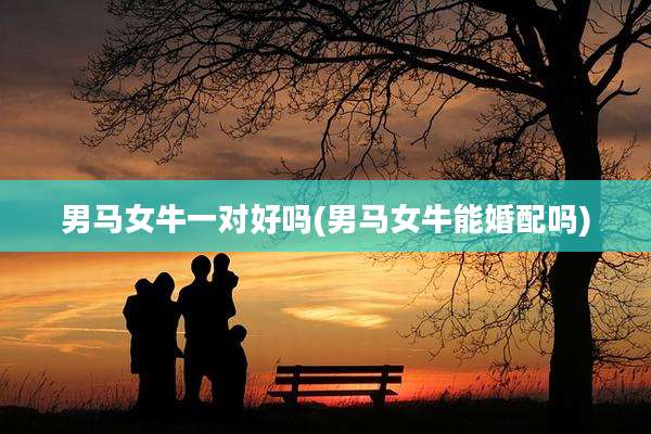 男马女牛一对好吗(男马女牛能婚配吗)