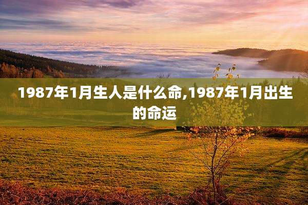 1987年1月生人是什么命,1987年1月出生的命运