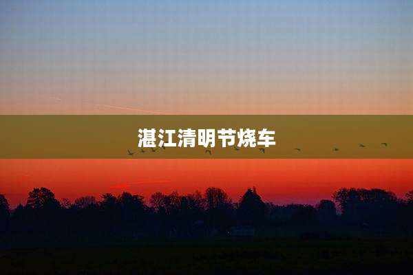湛江清明节烧车
