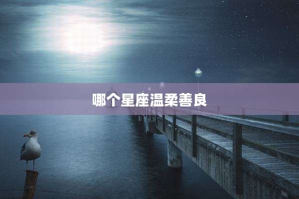哪个星座温柔善良