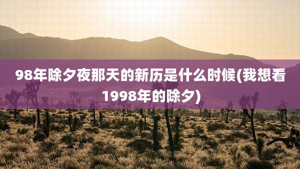 98年除夕夜那天的新历是什么时候(我想看1998年的除夕)