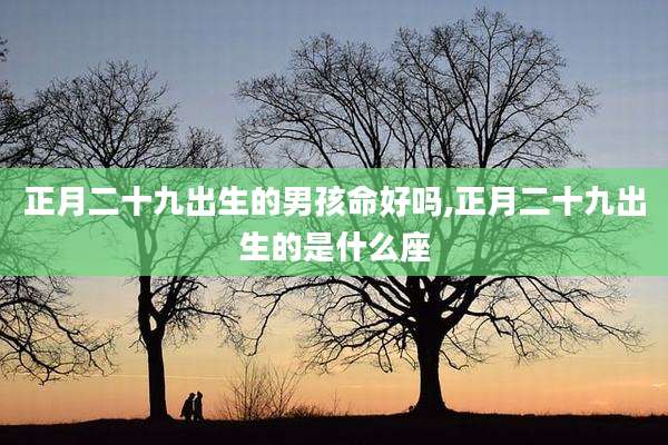 正月二十九出生的男孩命好吗,正月二十九出生的是什么座