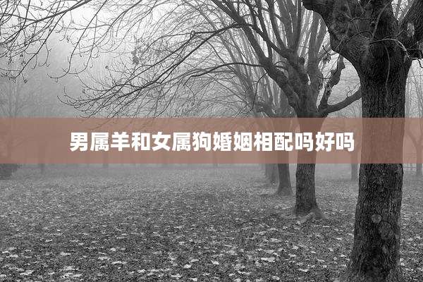 男属羊和女属狗婚姻相配吗好吗