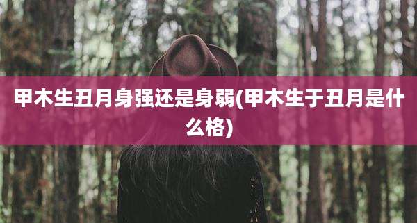 甲木生丑月身强还是身弱(甲木生于丑月是什么格)