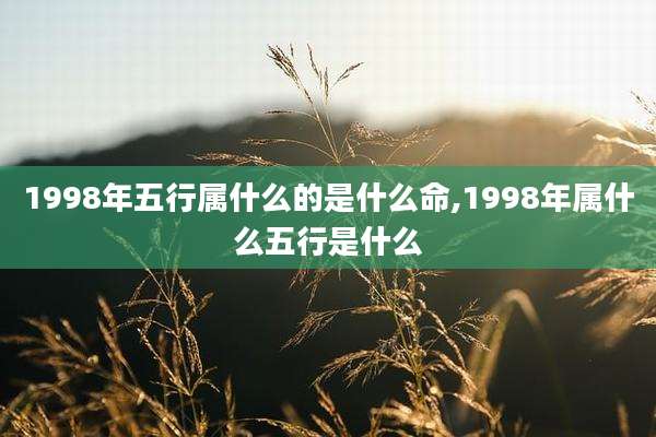 1998年五行属什么的是什么命,1998年属什么五行是什么