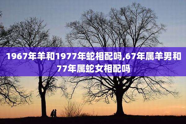 1967年羊和1977年蛇相配吗,67年属羊男和77年属蛇女相配吗