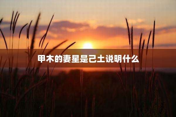 甲木的妻星是己土说明什么