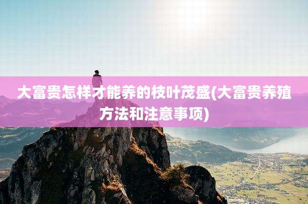 大富贵怎样才能养的枝叶茂盛(大富贵养殖方法和注意事项)
