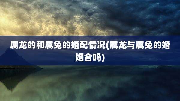 属龙的和属兔的婚配情况(属龙与属兔的婚姻合吗)