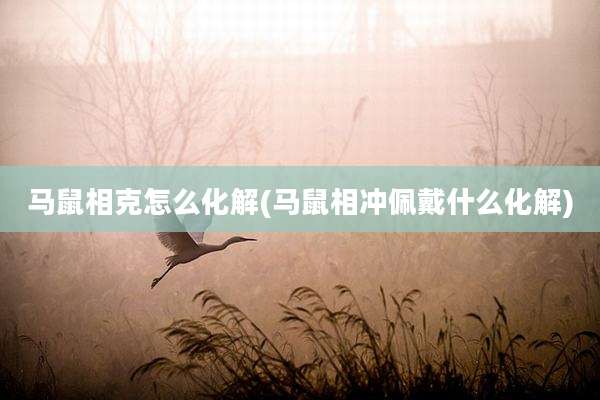 马鼠相克怎么化解(马鼠相冲佩戴什么化解)