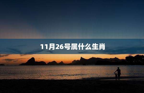 11月26号属什么生肖