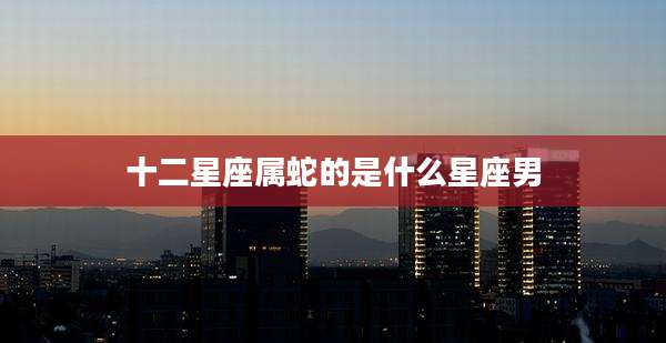 十二星座属蛇的是什么星座男