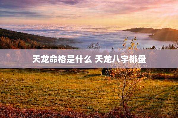 天龙命格是什么 天龙八字排盘