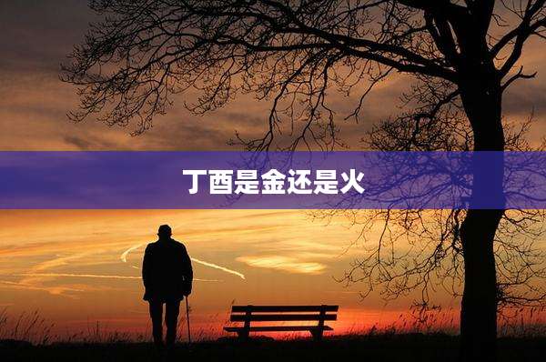 丁酉是金还是火