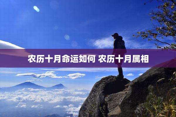 农历十月命运如何 农历十月属相