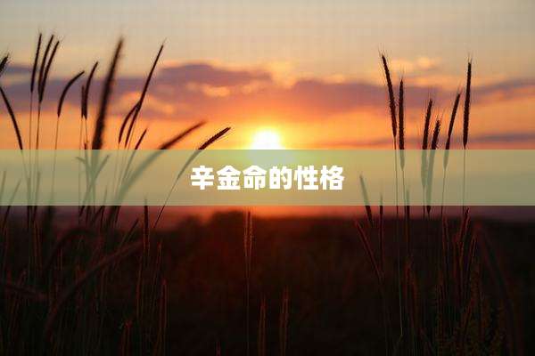 辛金命的性格