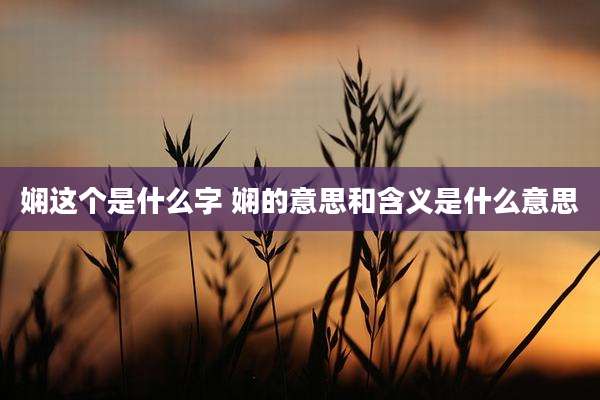 娴这个是什么字 娴的意思和含义是什么意思
