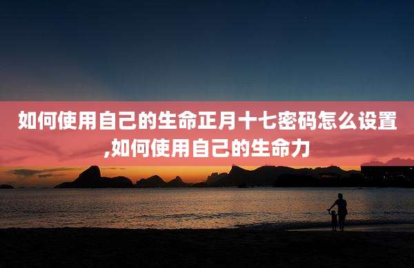 如何使用自己的生命正月十七密码怎么设置,如何使用自己的生命力