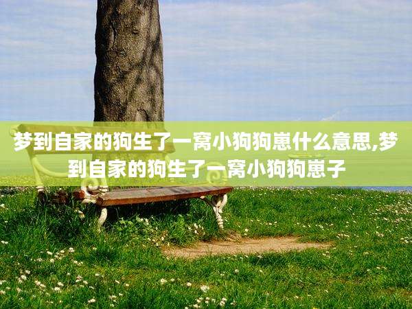 梦到自家的狗生了一窝小狗狗崽什么意思,梦到自家的狗生了一窝小狗狗崽子