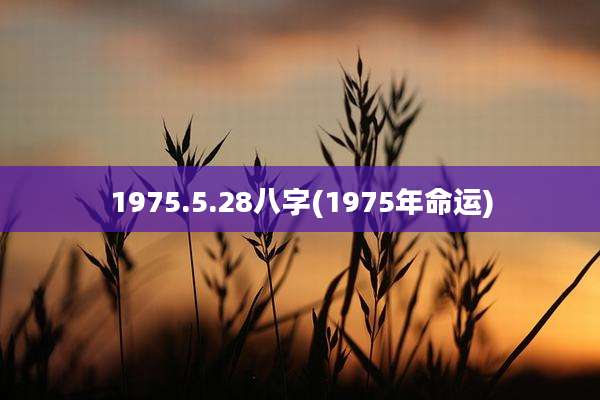 1975.5.28八字(1975年命运)