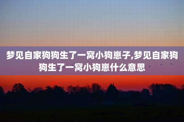 梦见自家狗狗生了一窝小狗崽子,梦见自家狗狗生了一窝小狗崽什么意思