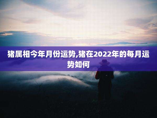 猪属相今年月份运势,猪在2022年的每月运势如何