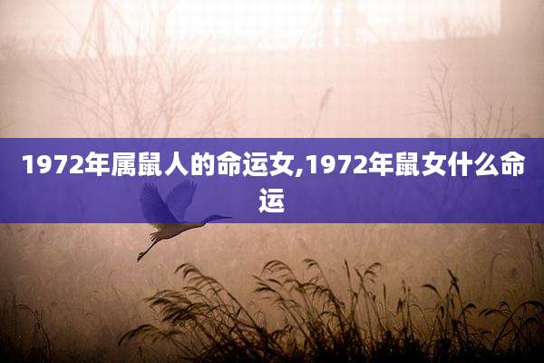 1972年属鼠人的命运女,1972年鼠女什么命运