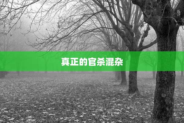 真正的官杀混杂