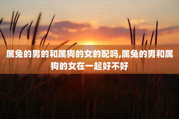 属兔的男的和属狗的女的配吗,属兔的男和属狗的女在一起好不好