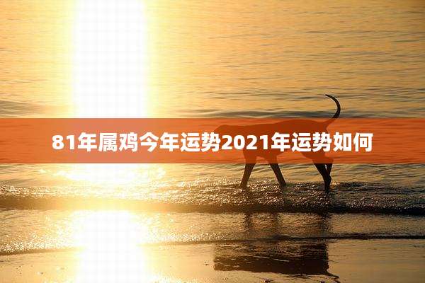 81年属鸡今年运势2021年运势如何