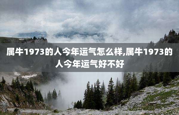 属牛1973的人今年运气怎么样,属牛1973的人今年运气好不好