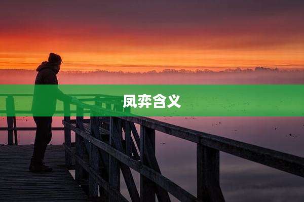 凤弈含义
