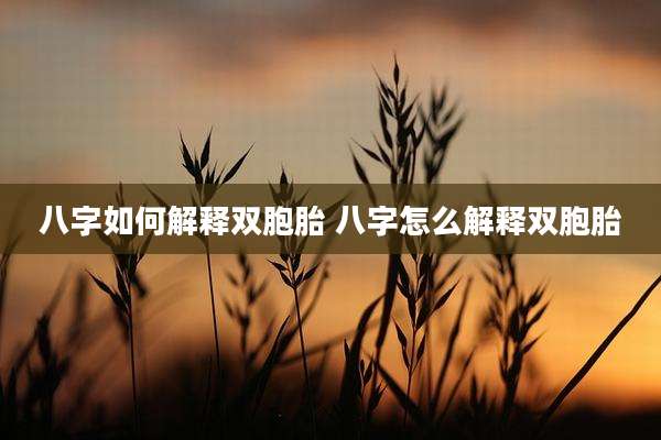 八字如何解释双胞胎 八字怎么解释双胞胎