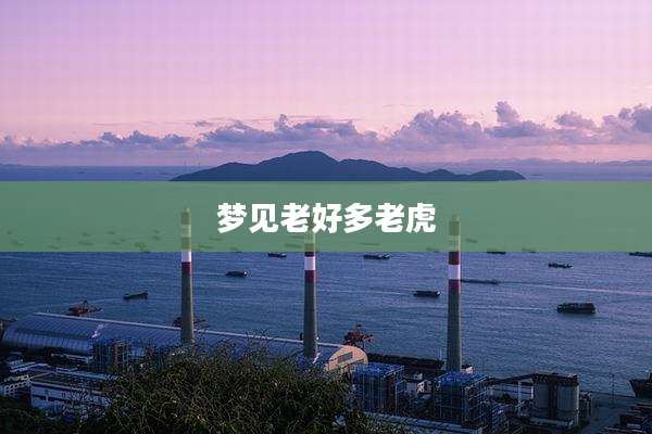 梦见老好多老虎