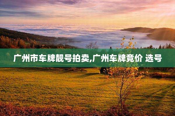广州市车牌靓号拍卖,广州车牌竞价 选号