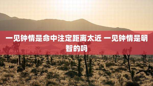 一见钟情是命中注定距离太近 一见钟情是明智的吗