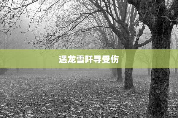 遇龙雪阡寻受伤