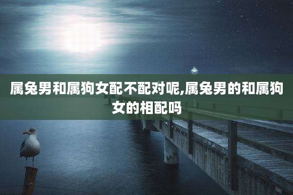 属兔男和属狗女配不配对呢,属兔男的和属狗女的相配吗