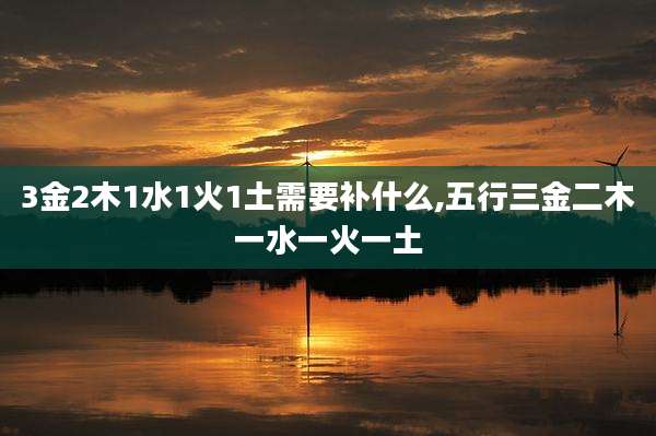3金2木1水1火1土需要补什么,五行三金二木一水一火一土