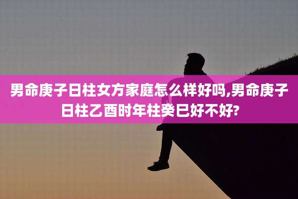 男命庚子日柱女方家庭怎么样好吗,男命庚子日柱乙酉时年柱癸巳好不好?