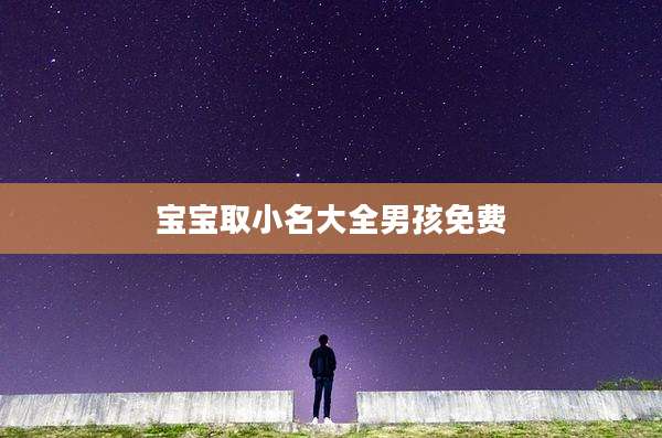 宝宝取小名大全男孩免费