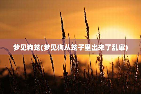 梦见狗笼(梦见狗从笼子里出来了乱窜)