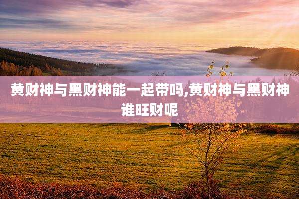 黄财神与黑财神能一起带吗,黄财神与黑财神谁旺财呢