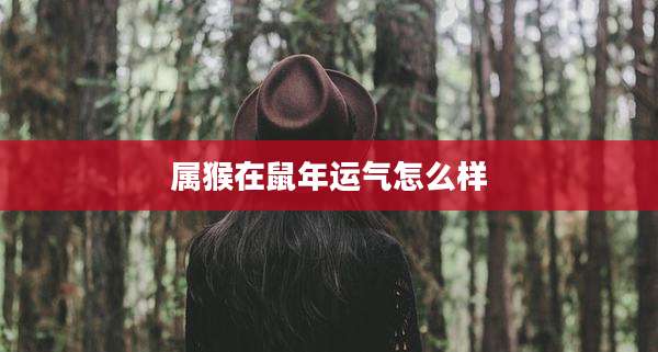 属猴在鼠年运气怎么样