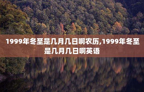1999年冬至是几月几日啊农历,1999年冬至是几月几日啊英语