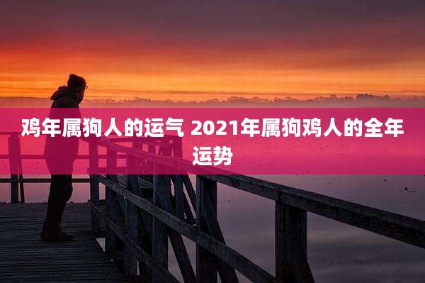 鸡年属狗人的运气 2021年属狗鸡人的全年运势