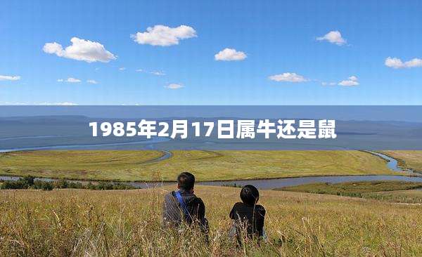 1985年2月17日属牛还是鼠