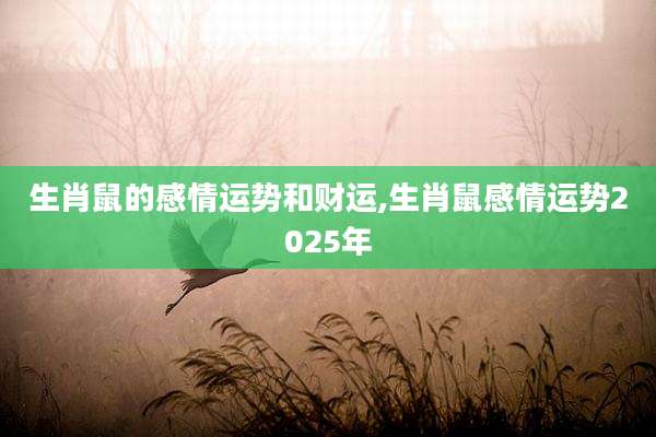 生肖鼠的感情运势和财运,生肖鼠感情运势2025年